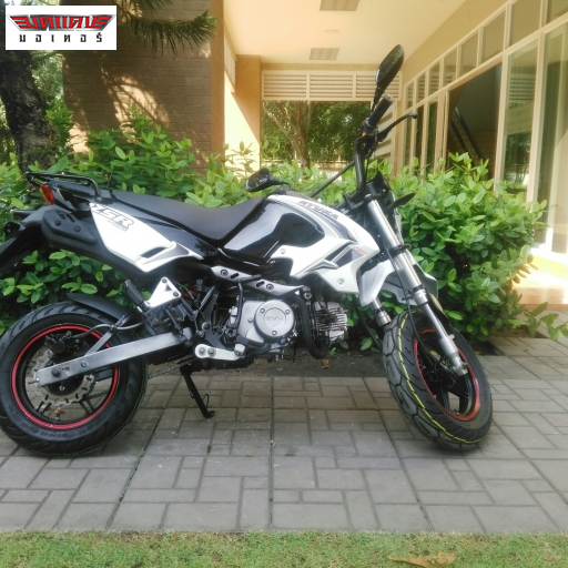 ZSR 125